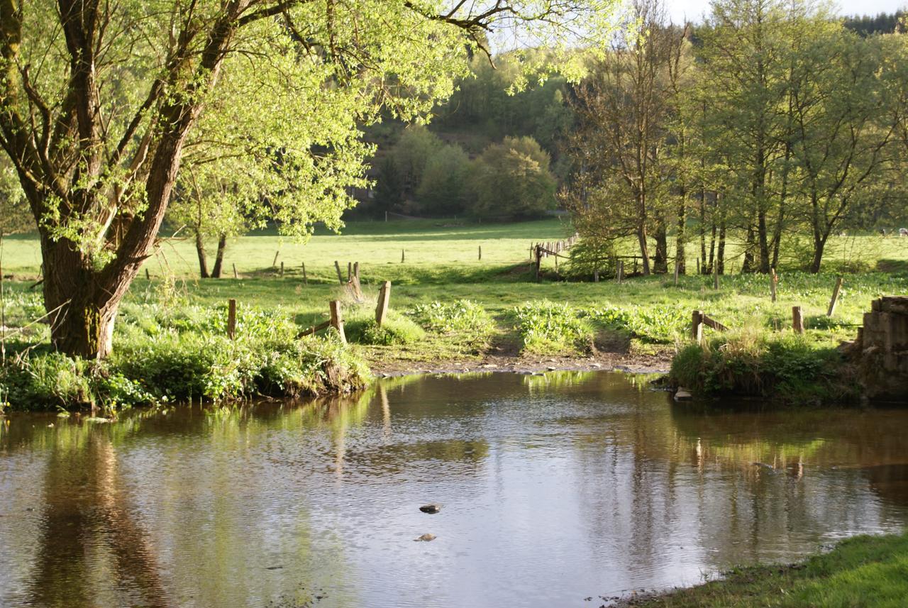Ortheuville Le Gite De L Ourthe מראה חיצוני תמונה