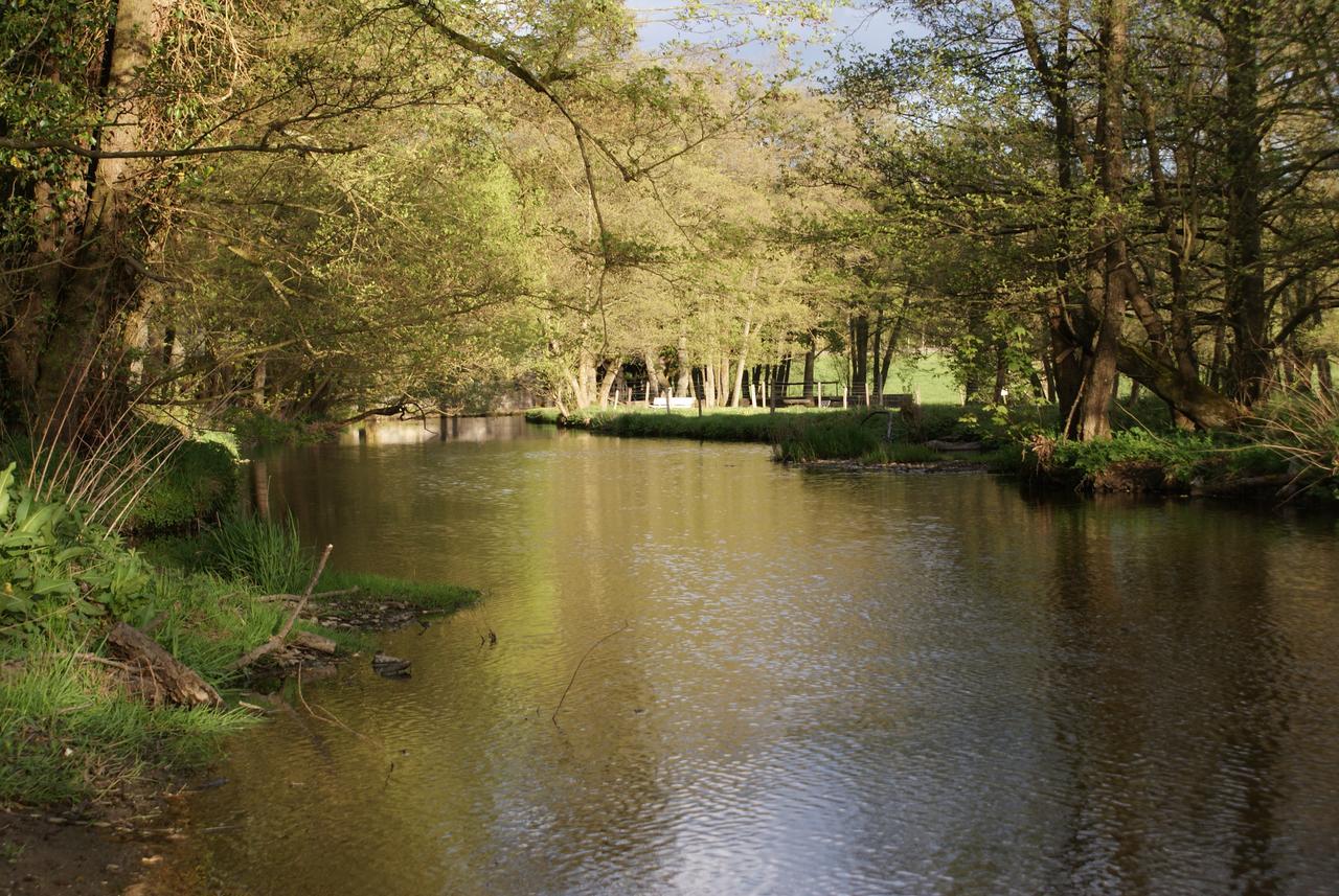 Ortheuville Le Gite De L Ourthe מראה חיצוני תמונה